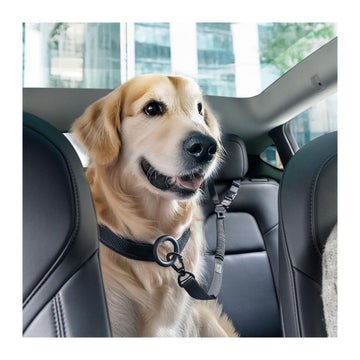 Spigen PS100 Universal bilb&auml;lte f&ouml;r hund, Svart