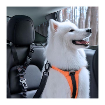 Spigen PS100 Universal bilb&auml;lte f&ouml;r hund, Svart